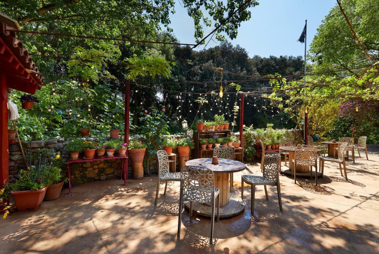B&B Mas Torrencito Pet Friendly Parets de Ampurdá 外观 照片