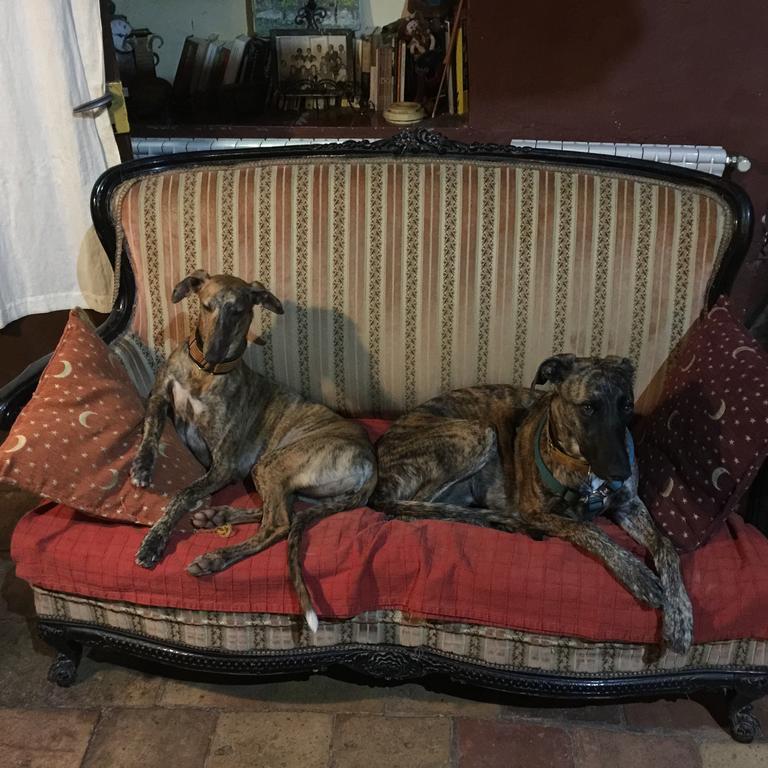B&B Mas Torrencito Pet Friendly Parets de Ampurdá 外观 照片