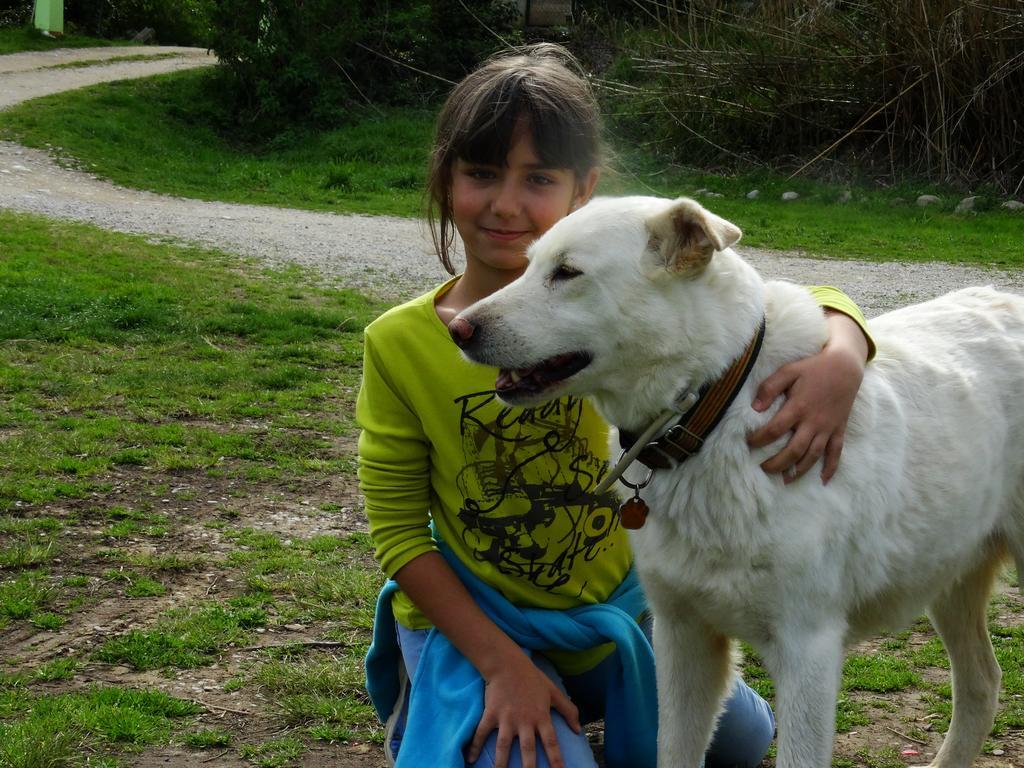 B&B Mas Torrencito Pet Friendly Parets de Ampurdá 外观 照片